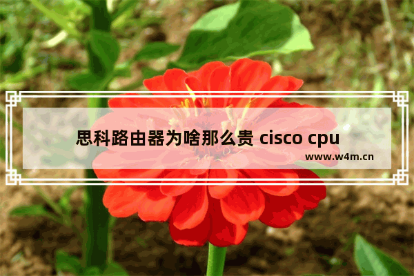 思科路由器为啥那么贵 cisco cpu