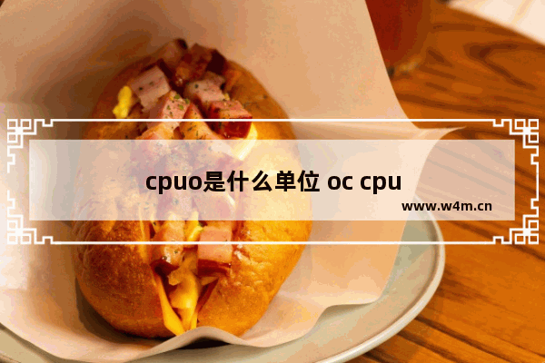 cpuo是什么单位 oc cpu