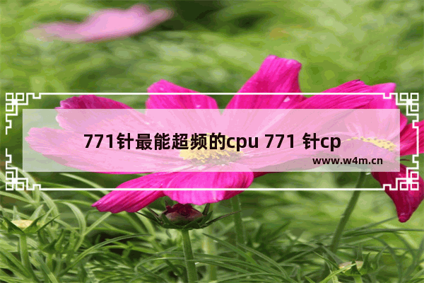 771针最能超频的cpu 771 针cpu