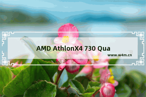 AMD AthlonX4 730 Quad Core四核怎么样 四核cpu主板