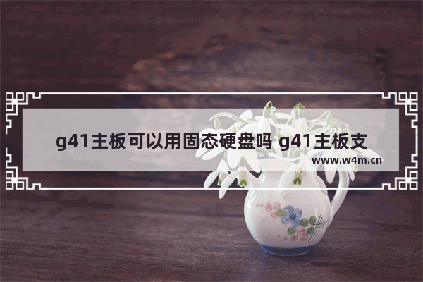 g41主板可以用固态硬盘吗 g41主板支持多大的固态硬盘