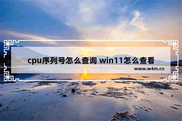 cpu序列号怎么查询 win11怎么查看电脑自带cpu温度