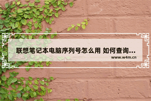 联想笔记本电脑序列号怎么用 如何查询联想笔记本电脑序列号