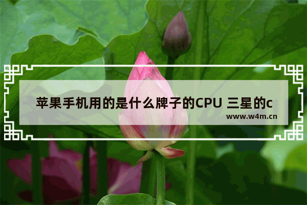 苹果手机用的是什么牌子的CPU 三星的cpu是什么