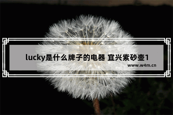 lucky是什么牌子的电器 宜兴紫砂壶10大品牌排名