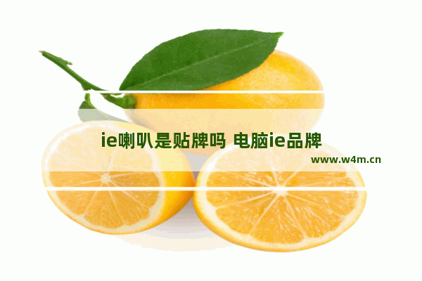 ie喇叭是贴牌吗 电脑ie品牌