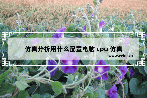 仿真分析用什么配置电脑 cpu 仿真