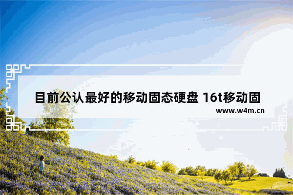 目前公认最好的移动固态硬盘 16t移动固态硬盘为什么这么便宜