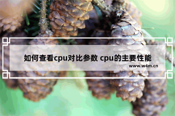 如何查看cpu对比参数 cpu的主要性能参数有哪5个