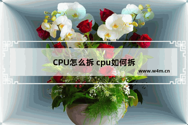 CPU怎么拆 cpu如何拆