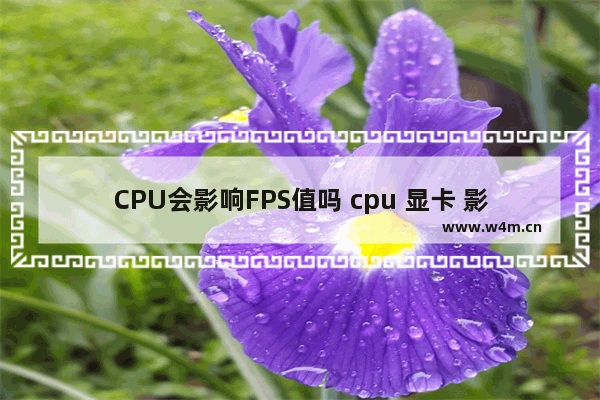 CPU会影响FPS值吗 cpu 显卡 影响