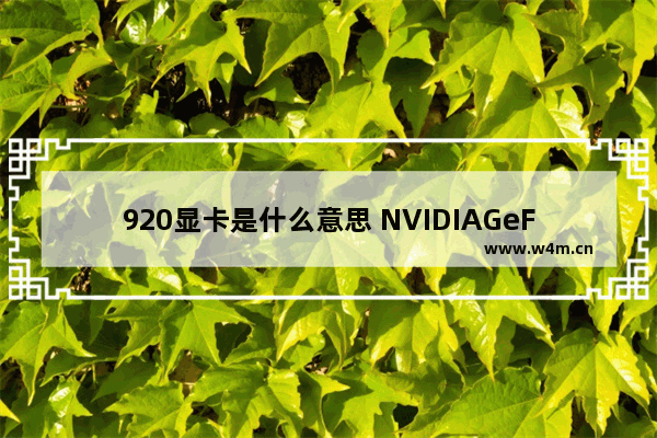 920显卡是什么意思 NVIDIAGeForce920MX这个型号的显卡怎么样最多能玩什么游戏