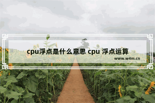 cpu浮点是什么意思 cpu 浮点运算