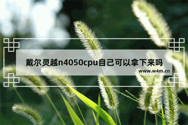 戴尔灵越n4050cpu自己可以拿下来吗 戴尔cpu拆