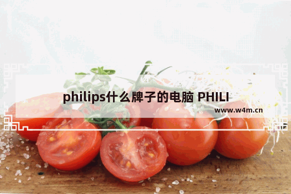 philips什么牌子的电脑 PHILIPS是什么牌子的电脑啊