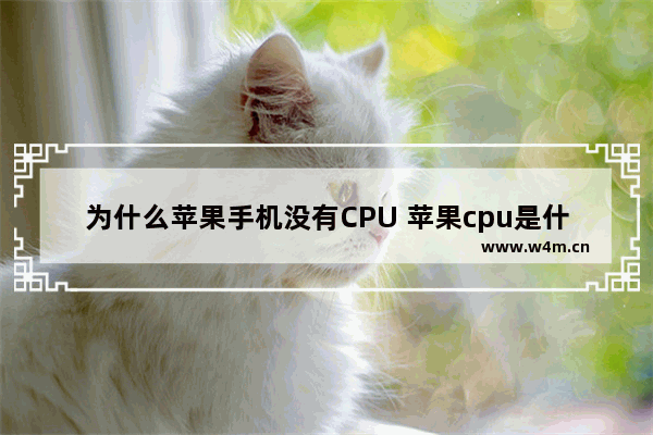 为什么苹果手机没有CPU 苹果cpu是什么型号的