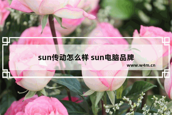 sun传动怎么样 sun电脑品牌