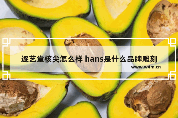 逐艺堂核尖怎么样 hans是什么品牌雕刻机