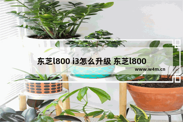 东芝l800 i3怎么升级 东芝l800加固态硬盘