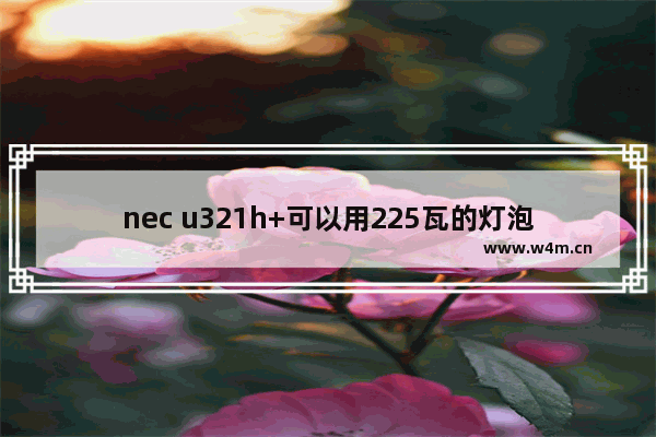 nec u321h+可以用225瓦的灯泡 NEC笔记本电脑配件