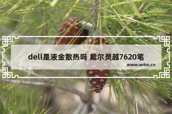 dell是液金散热吗 戴尔灵越7620笔记本怎么样