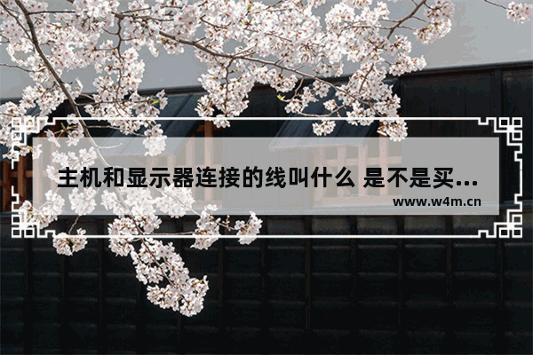 主机和显示器连接的线叫什么 是不是买主机的时候卖家会送的 显示器的数据线