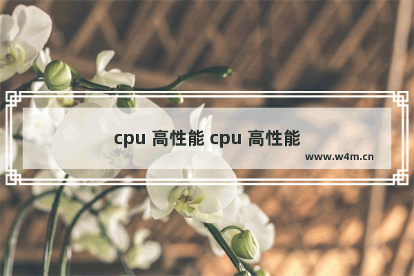 cpu 高性能 cpu 高性能