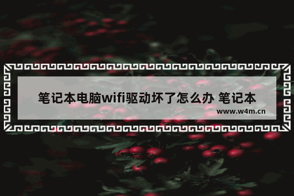 笔记本电脑wifi驱动坏了怎么办 笔记本电脑wifi驱动