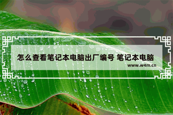 怎么查看笔记本电脑出厂编号 笔记本电脑 出厂编号