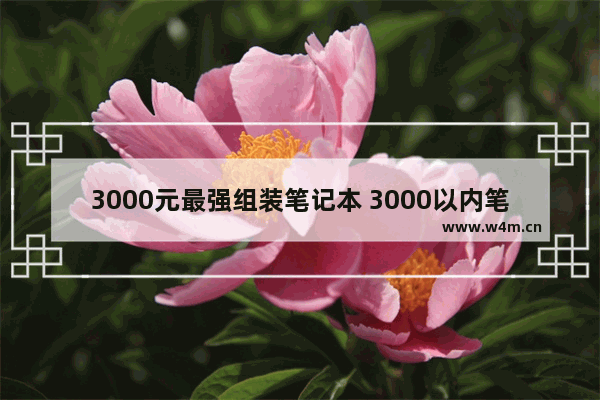 3000元最强组装笔记本 3000以内笔记本电脑