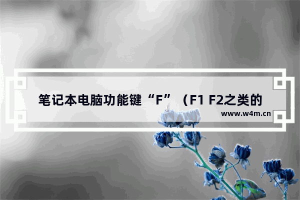 笔记本电脑功能键“F”（F1 F2之类的）怎么切换功能 笔记本电脑fn切换