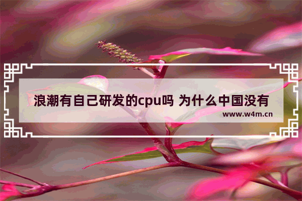 浪潮有自己研发的cpu吗 为什么中国没有自己制造的CPU