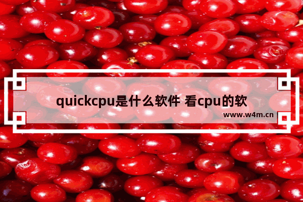 quickcpu是什么软件 看cpu的软件