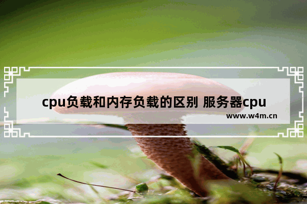 cpu负载和内存负载的区别 服务器cpu内存