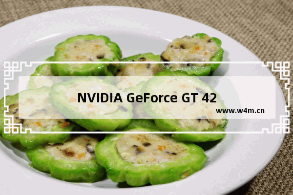 NVIDIA GeForce GT 425M显卡怎么样能带起2K11和其他大型游戏吗 425m显卡