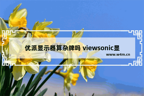 优派显示器算杂牌吗 viewsonic显示器烧了能修吗