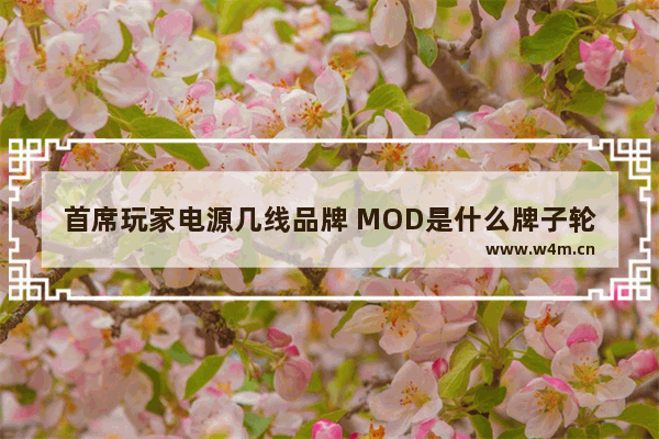 首席玩家电源几线品牌 MOD是什么牌子轮毂