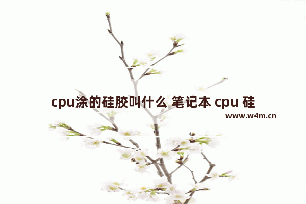 cpu涂的硅胶叫什么 笔记本 cpu 硅胶