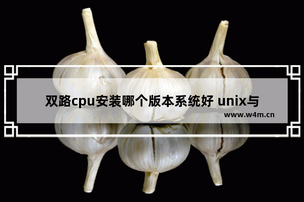 双路cpu安装哪个版本系统好 unix与linux的区别