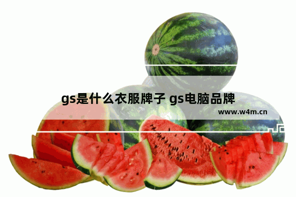 gs是什么衣服牌子 gs电脑品牌