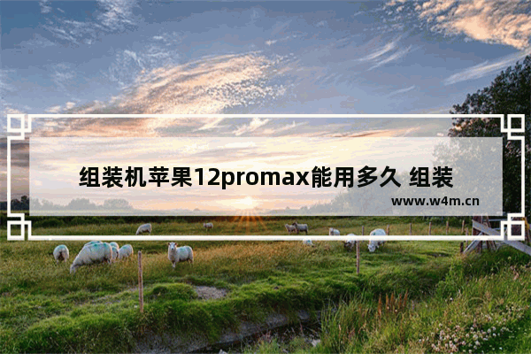 组装机苹果12promax能用多久 组装苹果电脑能用几年不卡