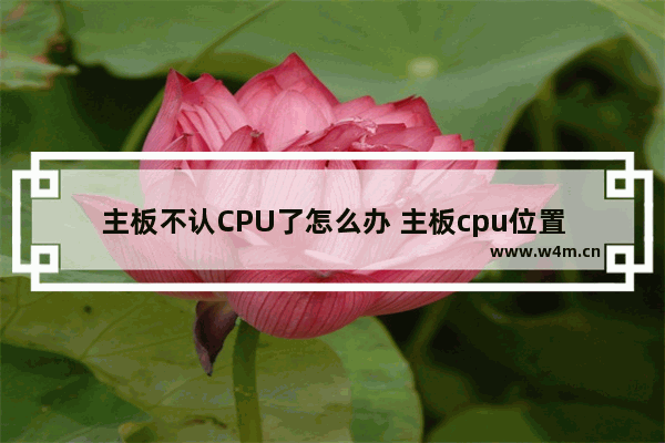 主板不认CPU了怎么办 主板cpu位置