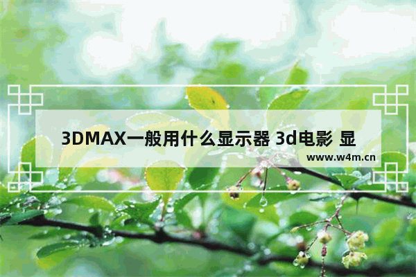 3DMAX一般用什么显示器 3d电影 显示器