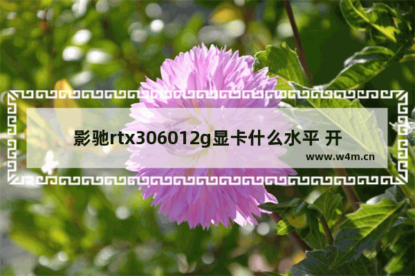 影驰rtx306012g显卡什么水平 开机进去影驰显卡界面