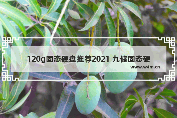 120g固态硬盘推荐2021 九储固态硬盘120g