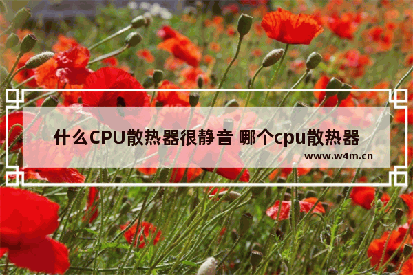 什么CPU散热器很静音 哪个cpu散热器静音效果好