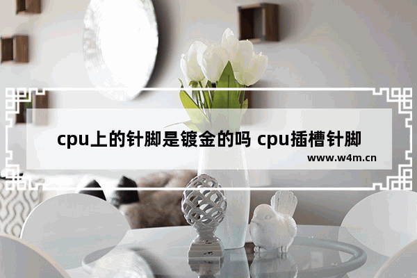 cpu上的针脚是镀金的吗 cpu插槽针脚