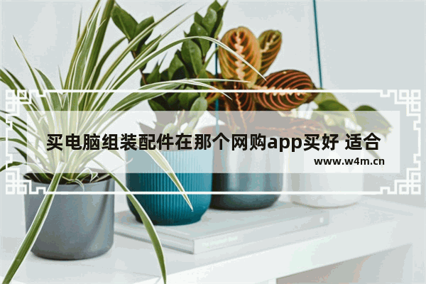 买电脑组装配件在那个网购app买好 适合组装电脑的软件有什么