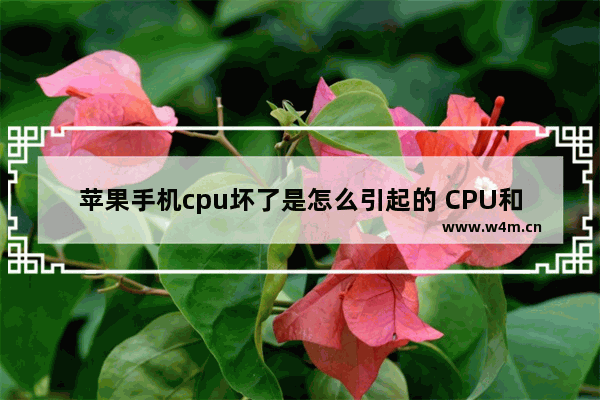 苹果手机cpu坏了是怎么引起的 CPU和主板烧掉分别是什么症状呢