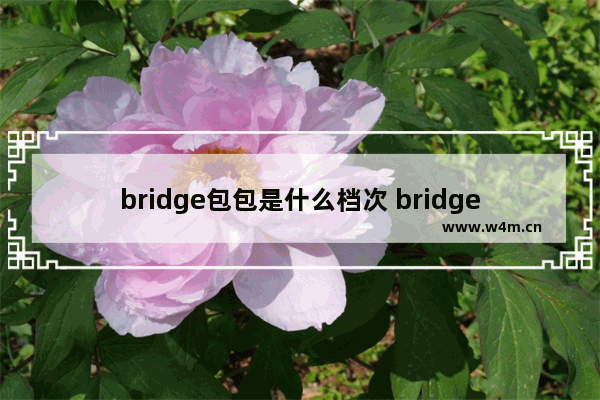 bridge包包是什么档次 bridges是什么轮胎